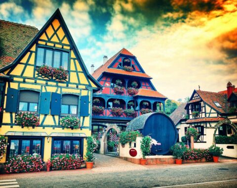 Alsatian-featured-image