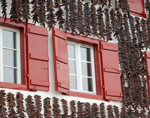 Basque-Website-Image