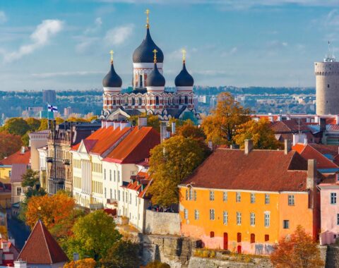 Estonian-Website-Image