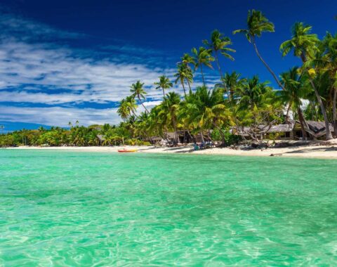 Fijian-featured-image