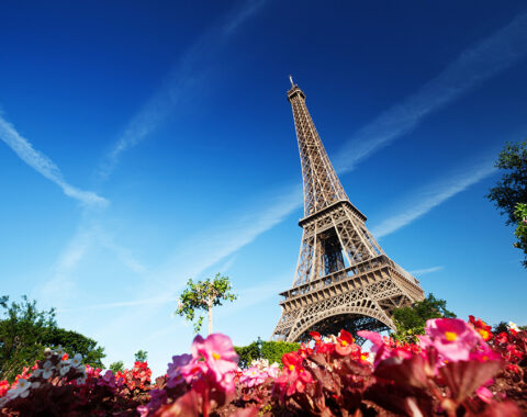French-Starter-Microlearning