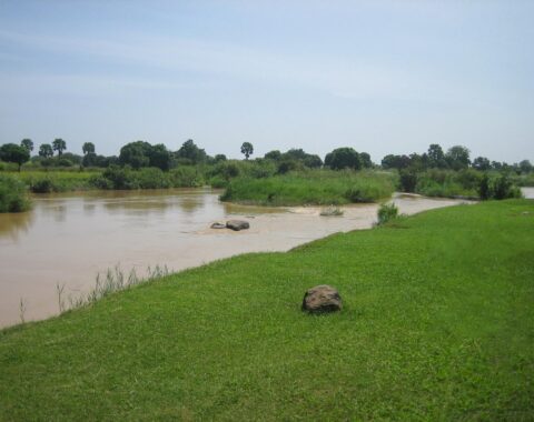 Igbo-Website-Image