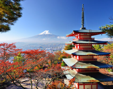 Japanese-Website-Image