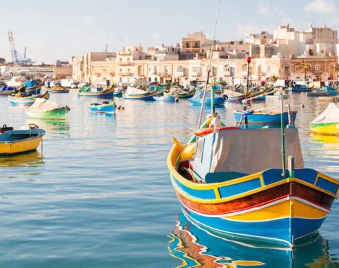 Maltese-featured-image