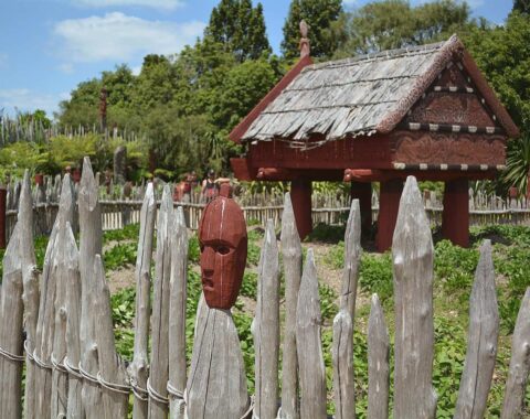 Maori-featured-image