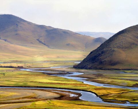 Mongolian-featured-image