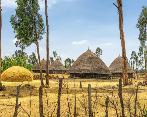Oromo-featured-image