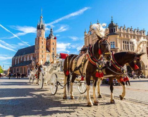 Polish-featured-image