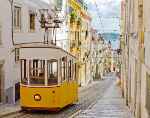 Portuguese-featured-image