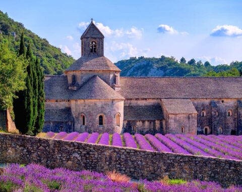Provencal-featured-image