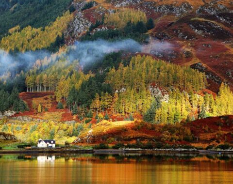 ScottishGaelic-featured-image