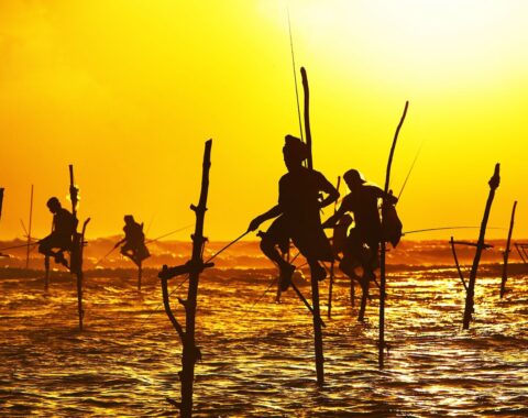Sinhala-featured-image