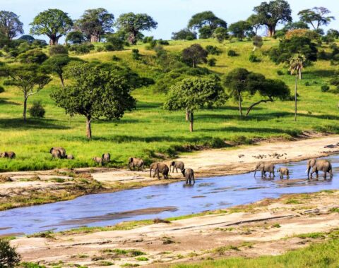 Swahili-featured-image