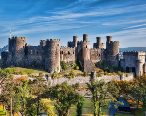 Welsh-featured-image