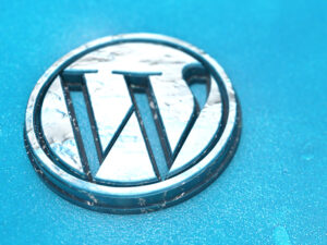 cw2-Int-WordPress-935x572