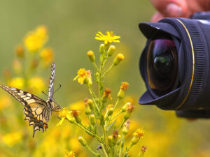 nature-photography-classes