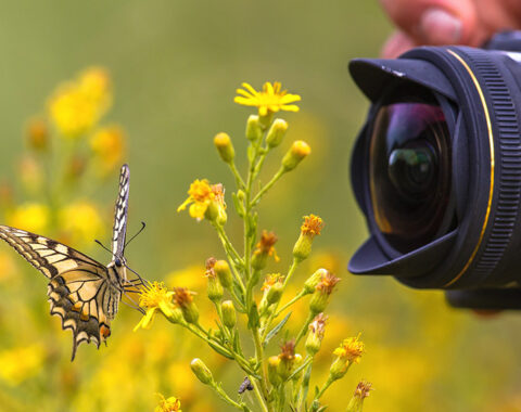 nature-photography-classes